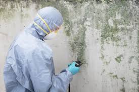 Best Biohazard Mold Removal in Greentown, OH